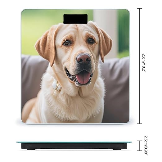 Cute Labrador Dog Smart Scale for Body Weight Accurate Bathroom Scale with LED Display Digital Weight Scales Weighing Machine High Precision Scales for Bath Home