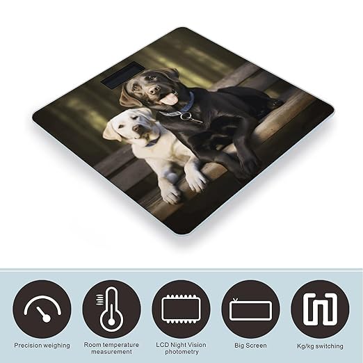 Labrador Bathroom Scale Automatic Power On/Off Body Scales LCD Backlight Display Square Digital Scale Rounded Corners Bathroom Scales for Home Bedrooms