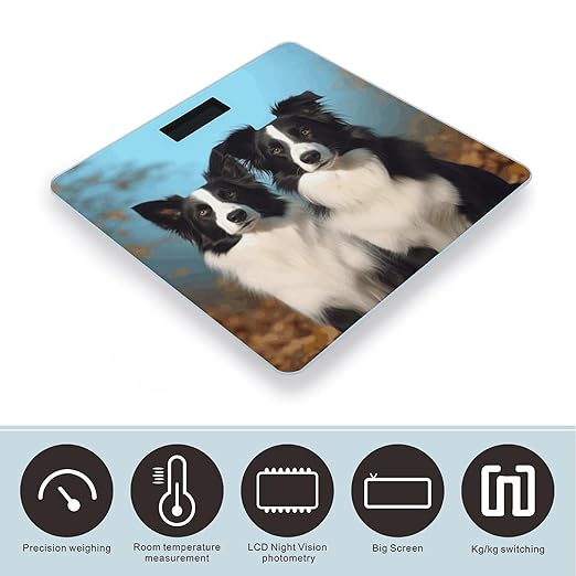 Border Collie Scale for Body Weight Safe Rounded Corners Tempered Glass Digital Bathroom Scale LED Display 400lb Capacity Weight Scales with High Precision Sensors