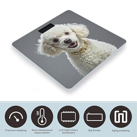 French Poodle Bathroom Scale Automatic Power On/Off Body Scales LCD Backlight Display Square Digital Scale Rounded Corners Bathroom Scales for Home Bedrooms