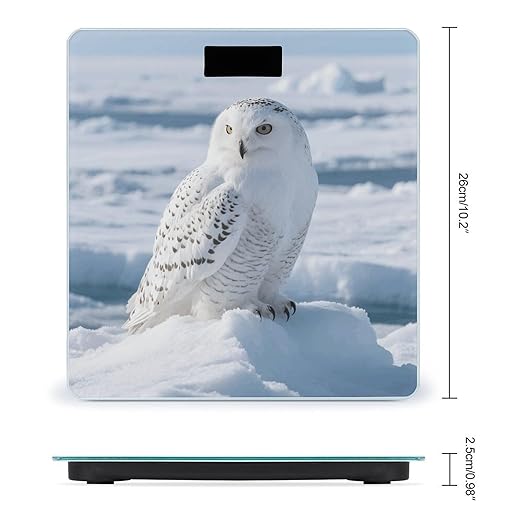 Snowy Owl on The Ice Weight Scale Cute Bathroom Scale for Body Highly Accurate Digital Weighing Machine for People Compact LCD Display Scales with Sturdy Toughened Glass Scales