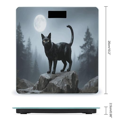 Black Cat Weight Scale Cute Bathroom Scale for Body Highly Accurate Digital Weighing Machine for People Compact LCD Display Scales with Sturdy Toughened Glass Scales