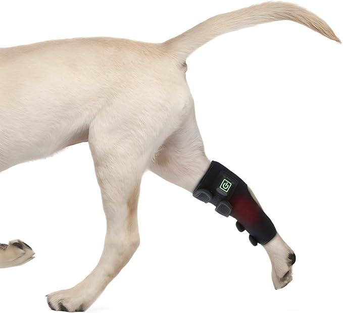 Pro Infrared Therapy Knee Brace for Pet Dog Cat Puppy Red Light Therapy Machine for Pain Relief Timing Wearable Relieving Joint Pain in Small Medium Large Animals