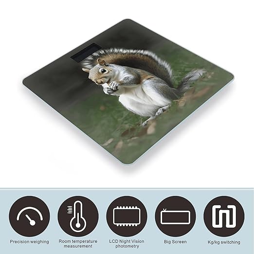 Squirrel Weight Scale for Body Weight Digital Bathroom Scale High Capacity Accurate Digital Weighing Scales and Easy-to-Read on Backlit LCD Display Scales