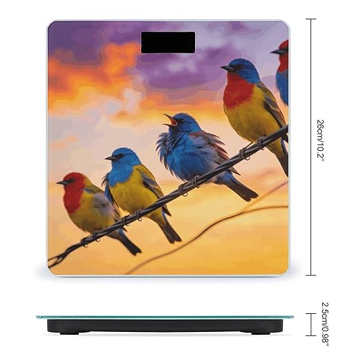 Birdies on Wire Smart Scale for Body Weight Digital Bathroom Scale Toughened Glass Weight Scale with Large LCD Backlight Display High Precision Scales Weighing Machine