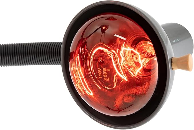 5 Head Infrared Light Heat Therapy 750W Red Lamp Salon Hair Steamer Perming Dyeing Adjustable Height Machine with Rolling Wheels