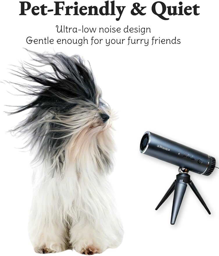 Ionic Hands-Free Hair Dryer with Holder 110k RPM High-Speed Motor 3-Min Quick Dry Smart Heat Control Lightweight Travel Overheat Protection Home Salon Pet (Space Gray)
