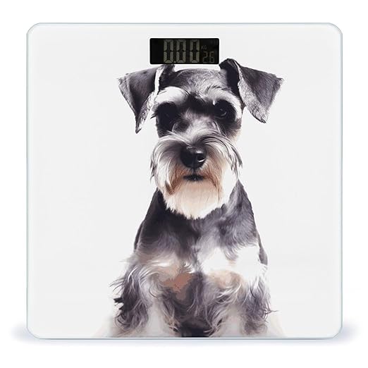 Well Behaved Schnauzer Bathroom Scale Automatic Power On/Off Body Scales LCD Backlight Display Square Digital Scale Rounded Corners Bathroom Scales for Home Bedrooms