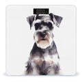 Well Behaved Schnauzer Bathroom Scale Automatic Power On/Off Body Scales LCD Backlight Display Square Digital Scale Rounded Corners Bathroom Scales for Home Bedrooms