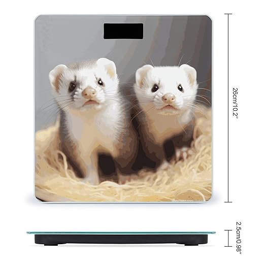 Ferrets Bathroom ScaleHighly Accurate Digital Weighing Machine for People Bright LED Display Weight Scale for The Aldult Home Use