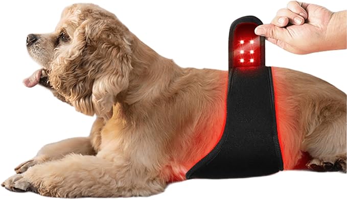 Red Light Therapy for Dog Belly and Ass Portable and Wearable for Small Animals Tissue Repair Relieve Joint &amp Back Pain Dogs Cats Pets Injuries Recovery