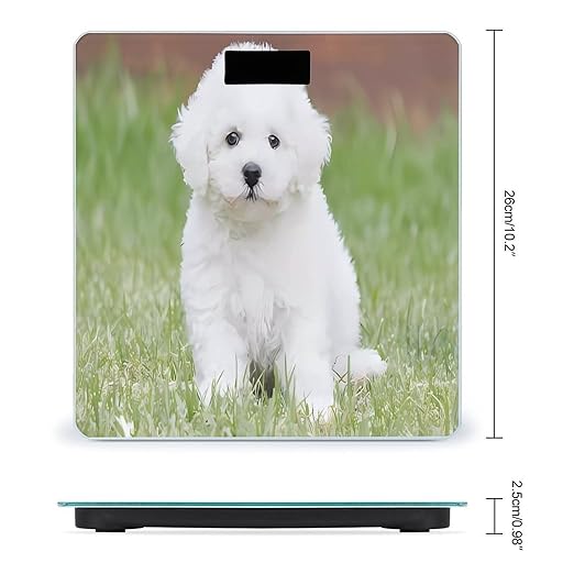 Bichon Frise Dog Scale for Body Weight Anti-Slip Tempered Glass Digital Bathroom Scales Clear LCD Display Weighing Scale Safe Rounded Corners Smart Scales