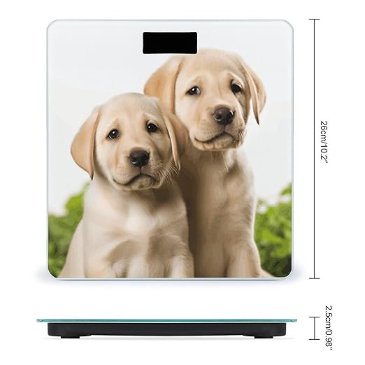 Funny Labrador Puppy Dog Weight Scale Large Bathroom Scales Digital Weight with Bright LED Display Non Slip Automatic Weighing Scale Fashion Weighing Machine for Body