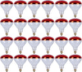 Shadid 250 Watt Heat Lamp R40 Red Flood Light Bulb Infrared Heat Lamp for Chickens Livestock Food Service Heat Therapy Reflector 24 Pack 15251-RD