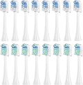 4-16pcs Toothbrush Replacement Heads Compatible with PH Replacement Heads Electric Brush Head for 4100 5100 6100 9023(8 Green 8 Blue)
