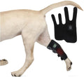 Portable Infrared Therapy Device for Dogs Leg Wearable Red Light Therapy Belt for Pets 120° Luminous Angle for Leg Wound Care Relief Muscle Pain