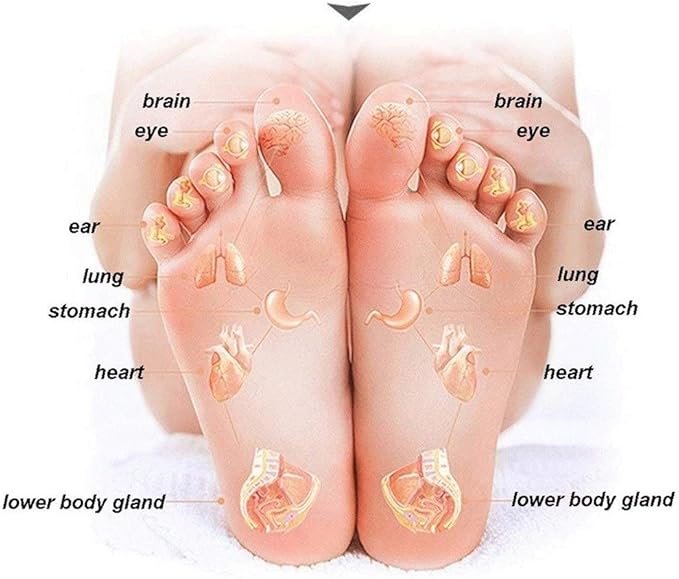 Wooden Foot Tub Adult Footbath Kashiwagi Pedicure Basin Pain Fatigue Relief Foot Washing Barrel Middle-Aged and Elderly Health Care Gift (Size : B tub+Cover)