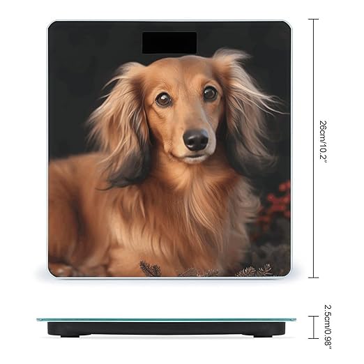 Long Haired Dachshund Scale for Body Weight High Precision Digital Weight Scales with LCD Display Anti-Slip Sturdy Slim Tempered Glass Bathroom Scale for Home Use