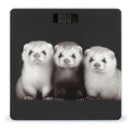 Digital Bathroom Scale for Body Weight Scale with Bright LCD Display High Accuracy Step-On Technology Auto On/Off Ferrets Digital Scales 400 Lbs /180kg