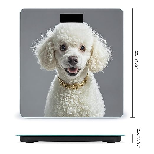 French Poodle Bathroom Scale Automatic Power On/Off Body Scales LCD Backlight Display Square Digital Scale Rounded Corners Bathroom Scales for Home Bedrooms