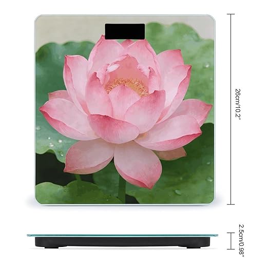 Displaying Weight ScaleClear LED Display Bathroom Digital Weighing ScaleTempered Glass Digital Bathroom Scale for Body Weight Capacity Up to 400 Lbs