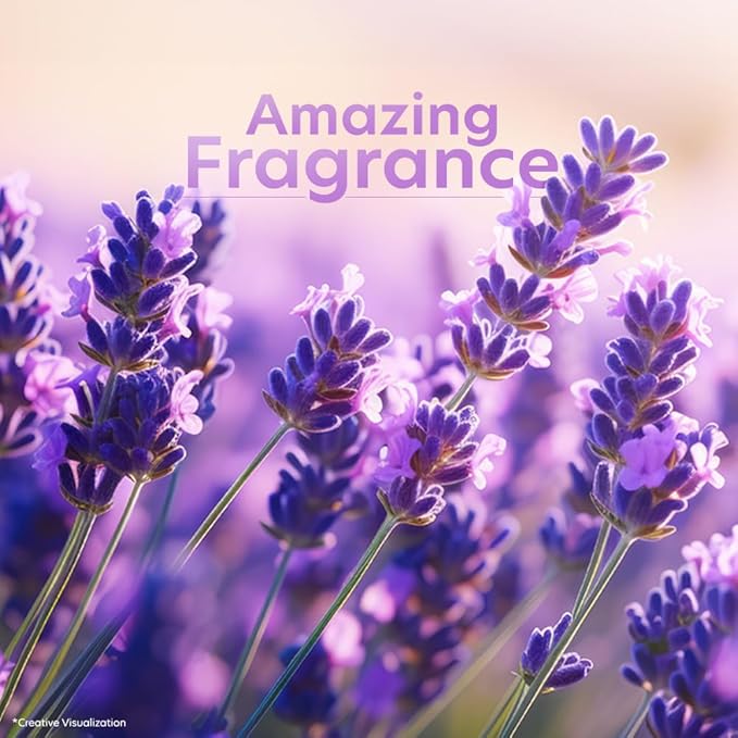 Vivel Lavender Almond Oil Body Wash Family Pack (500ml)