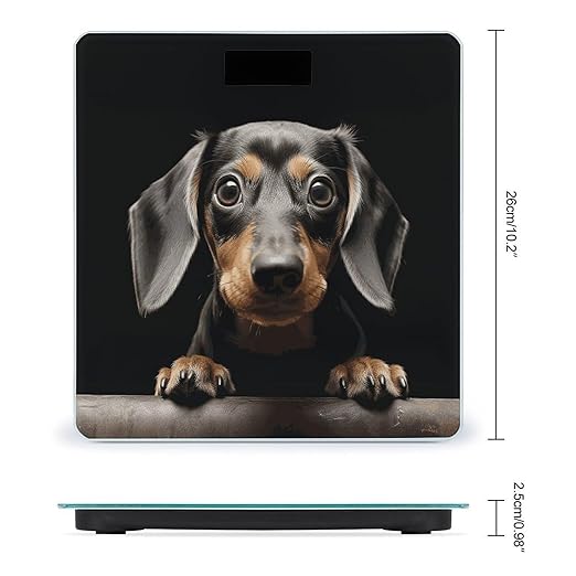 Pad Dachshund Bathroom Scale for Body Weight Bathroom Weighing Scale with Backlit LCD Display Highly Accurate Measures Weight Up to 180kg