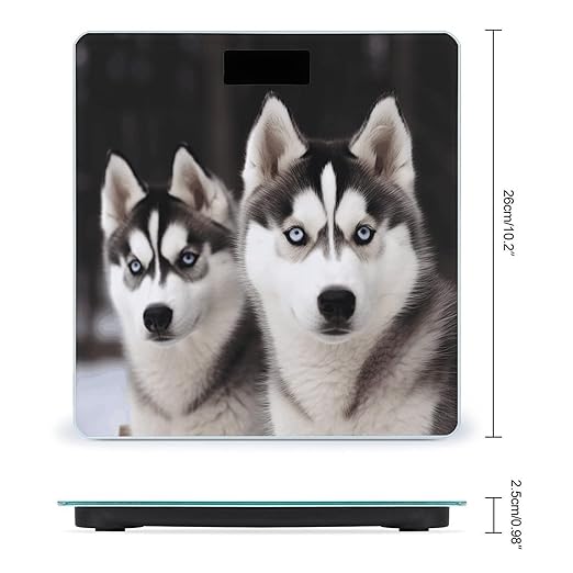 Husky DogScale for Body Weight with LCD High Precision Weighing Scales Fashion Sturdy Tempered Glass Weight Scales Easy-to-Read Digital Bathroom Scale for Daily 400lb