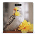 Cute Cockatiel Weight Scale Digital Electronic Scales Bathroom Scale Larg LCD Backlight Display High Precision MeasurementsTempered Glass