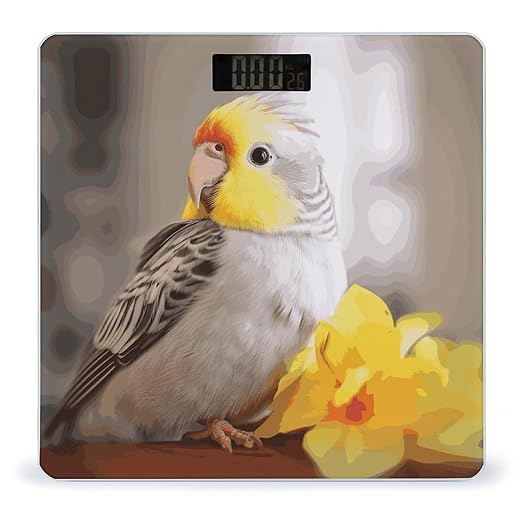 Cute Cockatiel Weight Scale Digital Electronic Scales Bathroom Scale Larg LCD Backlight Display High Precision MeasurementsTempered Glass