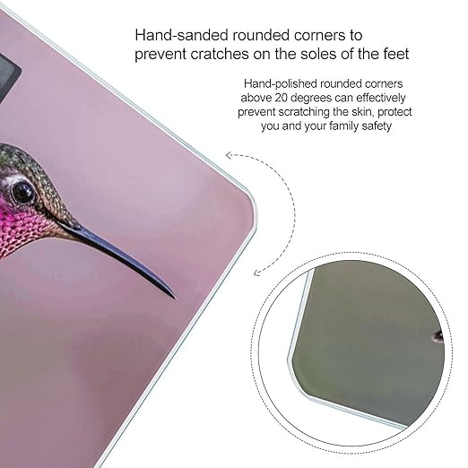 Humming Birds Scale for Body Weight Digital Bathroom Scale Toughened Glass High Precision Scales for Body Weight with Large LCD Backlight Display Weight Scales