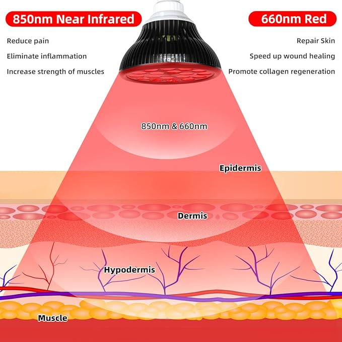Red Therapy Light lamp 54 W 18 LED with Light Socket Dual Chips Red 660 and Near Infrared 850nm Bulbs
