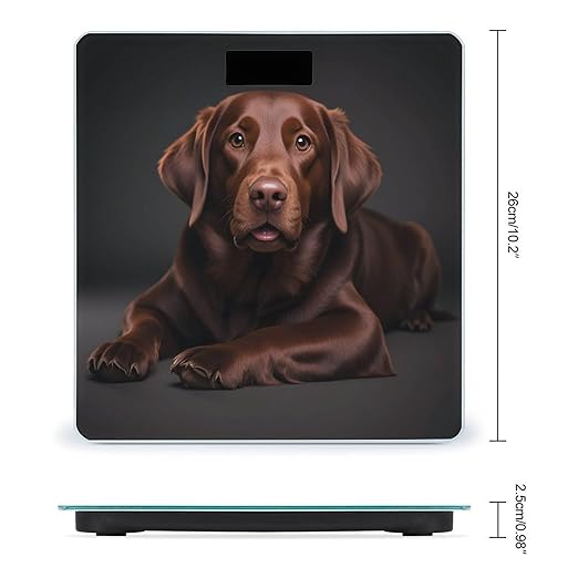 Brown Labrador Retriever Scale for Body Weight Digital Bathroom Scale Toughened Glass High Precision Scales for Body Weight with Large LCD Backlight Display Weight Scales