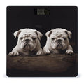 Little White Bulldog Smart Scale for Body Weight Accurate Bathroom Scale with LED Display Digital Weight Scales Weighing Machine High Precision Scales for Bath Home