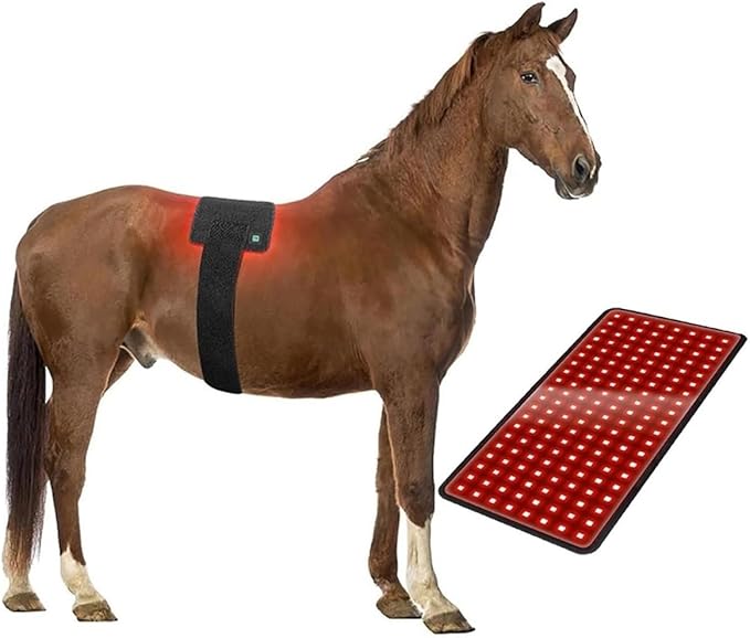 Wearable Horses Infrared Light Therapy Device Red Light Therapy Belts for Horse Back Belly Thigh Calf Maintain and Treat Soft Tissue Injuries Pain-Relief(1pcs)