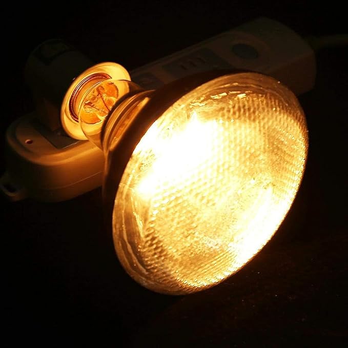 250W Heat Lamp Bulbs for Chickens Clear Glass Incandescent Heat Lamp Infrared Heat Bulb for Brooder Coop Food Service Reptiles Pets Bathroom 110V E26 Light Therapy Reflector Heat Bulb4 Pack