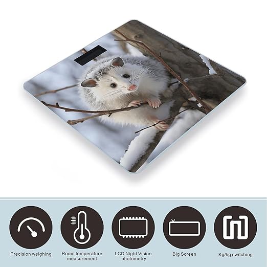 Opossum in Snow Bathroom Scale Rounded Smart Scale for Body Weight Automatic Power On/Off Weight Scales Accurate Bathroom Digital Scales for Pet Home Bedroom Kitchen