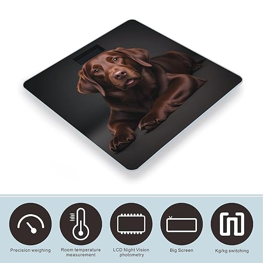 Brown Labrador Retriever Scale for Body Weight Digital Bathroom Scale Toughened Glass High Precision Scales for Body Weight with Large LCD Backlight Display Weight Scales