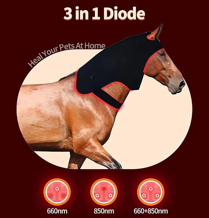Equine Red Light Therapy Device Wearable Red Light Therapy Belts for Pain Relief Repair Muscle 850nm ＆ 660nm LED Red Light Therapy for Horse Head and Neck M