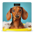 Dachshund Dog Scale for Body Weight Sturdy Tempered Glass Weighing Scales with LCD Display Accurate Digital Bathroom Scale Convenient Body Fat Smart Scales Easy Read