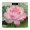 Displaying Weight ScaleClear LED Display Bathroom Digital Weighing ScaleTempered Glass Digital Bathroom Scale for Body Weight Capacity Up to 400 Lbs