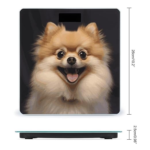 Happy Short Haired Pomeranian Bathroom Scale Automatic Power On/Off Body Scales LCD Backlight Display Square Digital Scale Rounded Corners Bathroom Scales for Home Bedrooms