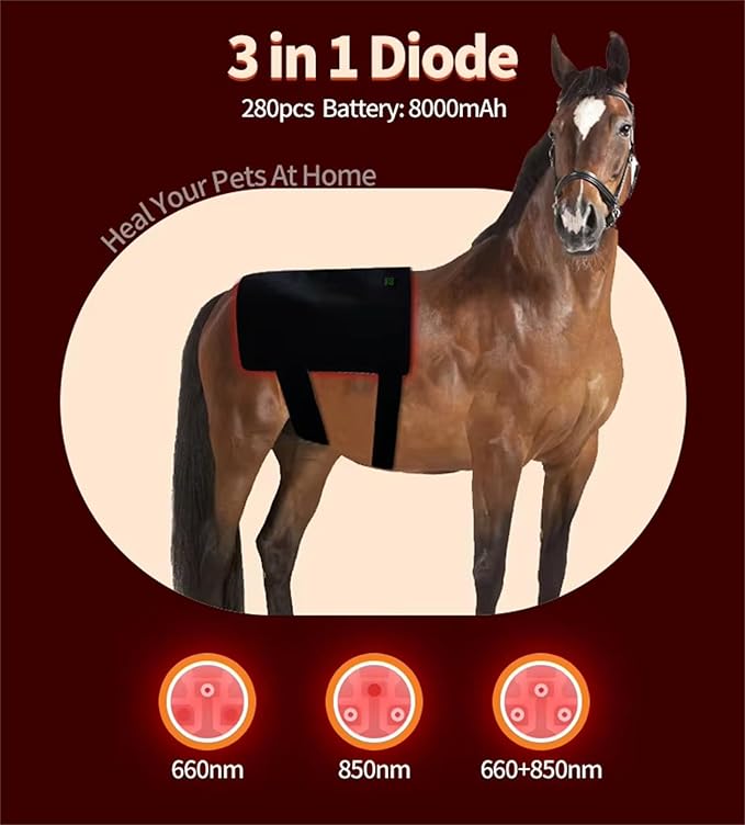 Horseback Red Light Therapy Device 660nm/850nm Adjustable Red Light Therapy Mat Near Infrared Light Device Relaxes Muscles and Promotes Healing