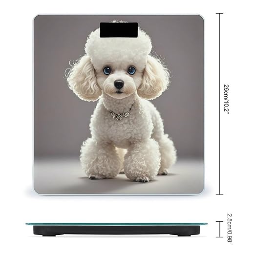 Poodle Smart Scale for Body Weight Accurate Bathroom Scale with LED Display Digital Weight Scales Weighing Machine High Precision Scales for Bath Home