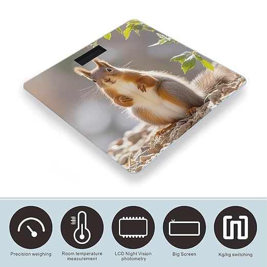 Squirrel Funny Animal Bathroom Scale for Body Weight with High Precision Large LCD Backlight Display Digital Weighing Scale with BMI Capacity Up to 180kg