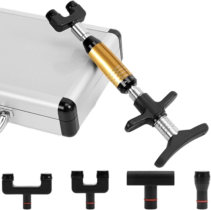 6 Levels Chiropractic Adjusting Tool 50-300N Adjustments Manual Spine Chiropractic Correction Tool Chiropractor Tool Relief Neck Back Pain for Face and Spine Relax (4 Massage Head)