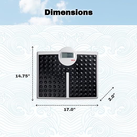 seca 813 - High Capacity Digital Flat Scale for Individual Patient use