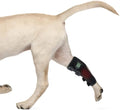 Therapy Device for Pet Vet Infrared Light Therapy for Pet Arthritis Pain Relief Muscle and Joint Pain
