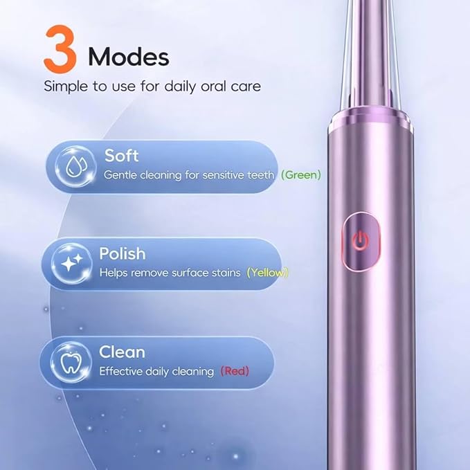 Electric Toothbrush for Adults Rechargeable Cordless Power Toothbrush with 3 Modes 4 Brush Heads 2-Min Timer Electric Tooth Brush Adult Purple or Silver (Purple)