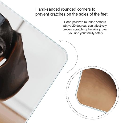 Cute Wiener Sausage Dog Bathroom Scale Automatic Power On/Off Body Scales LCD Backlight Display Square Digital Scale Rounded Corners Bathroom Scales for Home Bedrooms